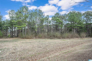 Lake Lot For Sale in Hoover, Alabama