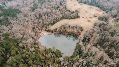 (private lake, pond, coastal) Acreage For Sale in Arnoldsville Georgia