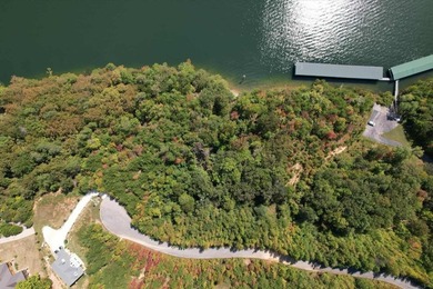 WATERFRONT!!! Over 2 acres on the main channel of the Tennessee - photo 12