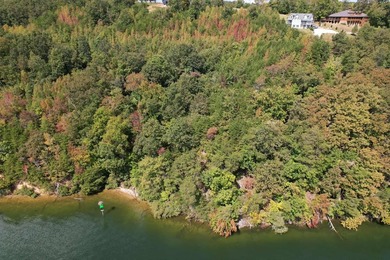 WATERFRONT!!! Over 2 acres on the main channel of the Tennessee - photo 13
