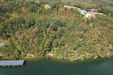 WATERFRONT!!! Over 2 acres on the main channel of the Tennessee - photo 14