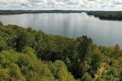 WATERFRONT!!! Over 2 acres on the main channel of the Tennessee - photo 15