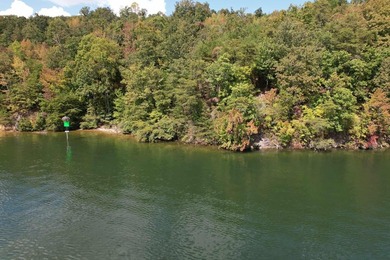 WATERFRONT!!! Over 2 acres on the main channel of the Tennessee - photo 16