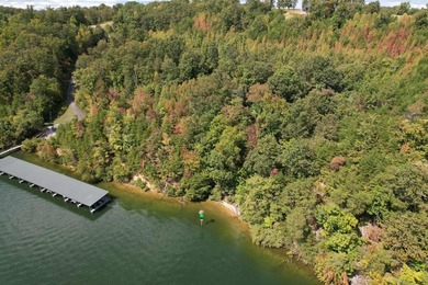 WATERFRONT!!! Over 2 acres on the main channel of the Tennessee - photo 17