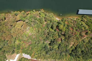 WATERFRONT!!! Over 2 acres on the main channel of the Tennessee - photo 19
