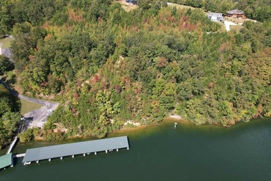WATERFRONT!!! Over 2 acres on the main channel of the Tennessee - photo 23