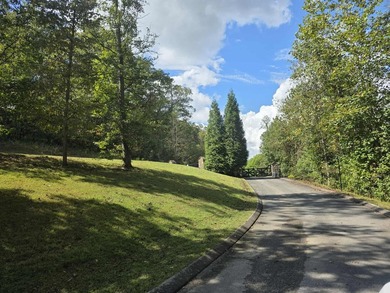 WATERFRONT!!! Over 2 acres on the main channel of the Tennessee - photo 28