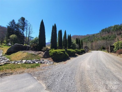 (private lake, pond, creek) Lot For Sale in Canton North Carolina