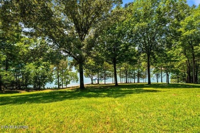 ACREAGE on NORRIS LAKE with over 350' of shoreline - photo 4