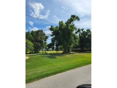A beautiful Golf Course LOT in Rotonda West Long Meadow. Cleared - photo 3