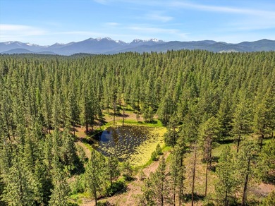 Set on 400 acres of private, gated, fully fenced land, this - photo 5