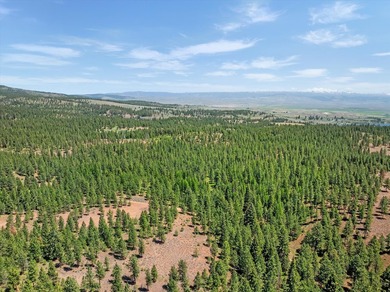 Set on 400 acres of private, gated, fully fenced land, this - photo 8