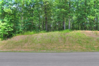 1.03 Acre Watts Bar Lakeview Lot - Lake Lot For Sale in Rockwood, Tennessee