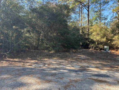 Lake Sam Rayburn  Lot For Sale in Brookeland Texas