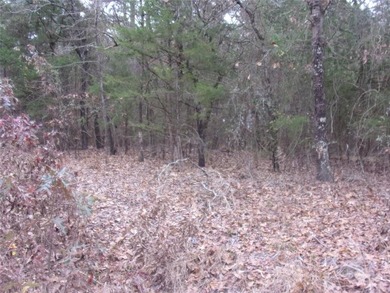 Heavily treed 1.24 acre lot located in the gated Lake community - photo 4