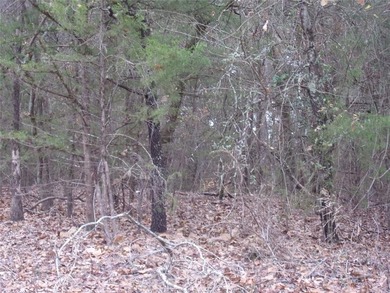 Heavily treed 1.24 acre lot located in the gated Lake community - photo 5