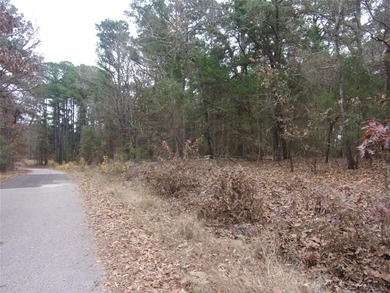 Heavily treed 1.24 acre lot located in the gated Lake community - photo 6