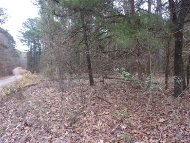 Heavily treed 1.24 acre lot located in the gated Lake community - photo 8