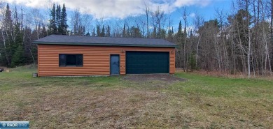 Embarrass Lake Home For Sale in Biwabik Minnesota