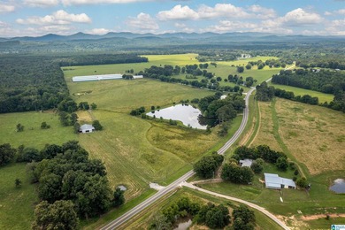 Rare find in St. Clair County!! 92.72+/- acres,A Multi home - photo 3