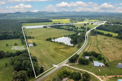 Rare find in St. Clair County!! 92.72+/- acres,A Multi home - photo 4