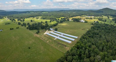Rare find in St. Clair County!! 92.72+/- acres,A Multi home - photo 5