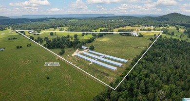 Rare find in St. Clair County!! 92.72+/- acres,A Multi home - photo 6