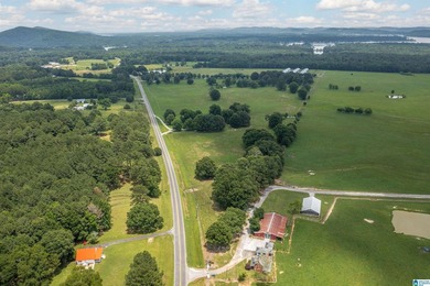 Rare find in St. Clair County!! 92.72+/- acres,A Multi home - photo 7