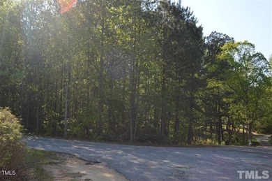 Almost a TWO ACRE LOT just outside of Erwin NC.  Lot Backs to a - photo 2