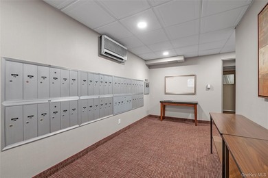 Welcome to The Versailles building at 20 Canterbury Rd in Great - photo 19