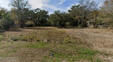 Great opportunity to build in a prime coastal location! This - photo 5