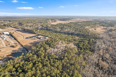 Unparalleled opportunity awaits visionary investors and - photo 39