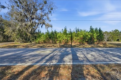 Nestled in the heart of Coastal Georgia, this 17.55-acre wooded - photo 2