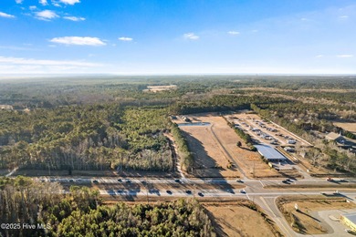 Unparalleled opportunity awaits visionary investors and - photo 43