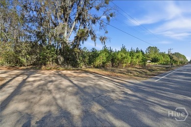 Nestled in the heart of Coastal Georgia, this 17.55-acre wooded - photo 3