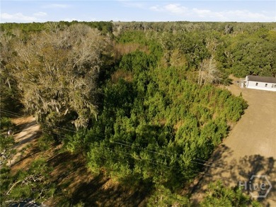 Nestled in the heart of Coastal Georgia, this 17.55-acre wooded - photo 4