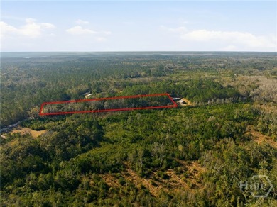 Nestled in the heart of Coastal Georgia, this 17.55-acre wooded - photo 8