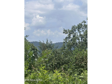 Convenience and views are just two of the features of this lot - photo 1