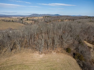 Beautiful 8.8-acre property offering the perfect opportunity for - photo 11