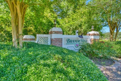 439 Brandymill Blvd is a beautiful 4 bedroom/ 2 bathroom Home - photo 34