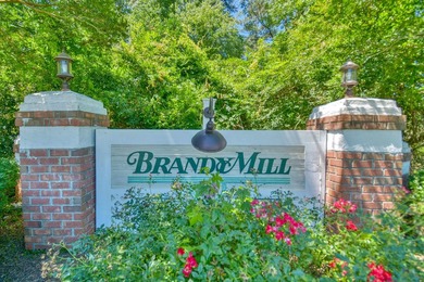 439 Brandymill Blvd is a beautiful 4 bedroom/ 2 bathroom Home - photo 35