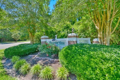 439 Brandymill Blvd is a beautiful 4 bedroom/ 2 bathroom Home - photo 36