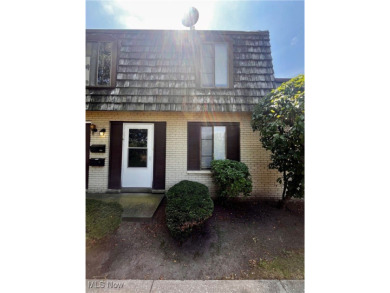 (private lake, pond, creek) Condo For Sale in Painesville Ohio