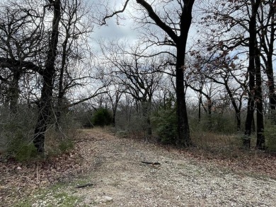 Lake Lot For Sale in Streetman, Texas