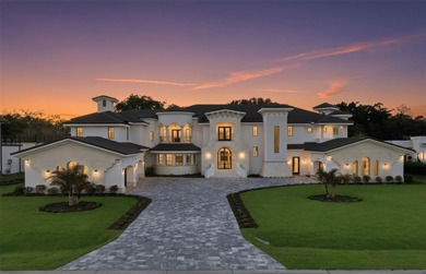 Lake Down Home For Sale in Windermere Florida