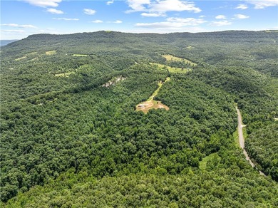 Enjoy panoramic mountain views from this 2-bedroom, 1-bath - photo 29