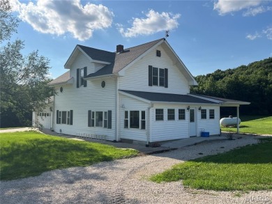 (private lake, pond, creek) Home For Sale in Louisiana Missouri