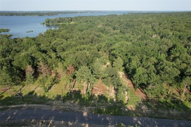 Lake Lot For Sale in Larue, Texas
