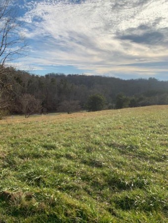 Tellico Lake Lot For Sale in Greenback Tennessee