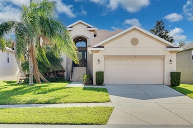 (private lake, pond, creek) Home Sale Pending in Tarpon Springs Florida